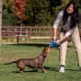 Jouet pour chien Stitch Bleu: Plus de 300.000 produits de grandes marques en vente directe à prix usine sur cadeaufou.com. Label