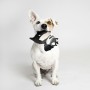 Jouet pour chien Batman Noir 100 % polyester: Plus de 300.000 produits de grandes marques en vente directe à prix usine sur cade