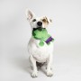 Jouet pour chien The Avengers Vert 100 % polyester: Plus de 300.000 produits de grandes marques en vente directe à prix usine su