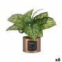 Plante décorative Ibergarden Home Métal Plastique Cannette 26 x 26 x 26 cm Cuivre (6 Unités): Plus de 300.000 produits de grande