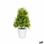 Plante décorative Ibergarden 547 Plastique 18 x 35 x 16 cm (6 Unités): Plus de 300.000 produits de grandes marques en vente dire