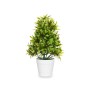 Plante décorative Ibergarden 547 Plastique 18 x 35 x 16 cm (6 Unités): Plus de 300.000 produits de grandes marques en vente dire