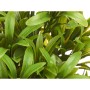 Plante décorative Ibergarden 547 Plastique 18 x 35 x 16 cm (6 Unités): Plus de 300.000 produits de grandes marques en vente dire
