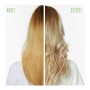 Shampoing Matifiant pour Cheveux Blonds Biolage Colorlast Purple 250 ml: Plus de 300.000 produits de grandes marques en vente di