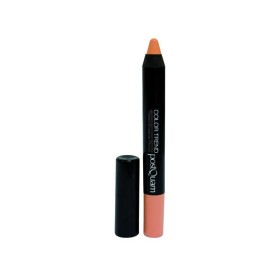Ombre à paupières Postquam Color Trend Nº 10 Pastel Camel 10 g Stick: Plus de 300.000 produits de grandes marques en vente direc