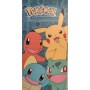 Serviette de plage Pokémon: Plus de 300.000 produits de grandes marques en vente directe à prix usine sur cadeaufou.com. Label b