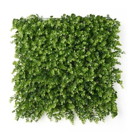Jardin vertical Ibergarden Vert Plastique Volets 50 x 50 cm: Plus de 300.000 produits de grandes marques en vente directe à prix