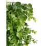 Jardin vertical Ibergarden Vert Plastique Volets 50 x 50 cm: Plus de 300.000 produits de grandes marques en vente directe à prix