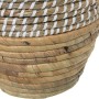 Vase Alexandra House Living Herbe de mer 21 x 21 x 30 cm: Plus de 300.000 produits de grandes marques en vente directe à prix us