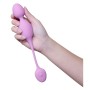 Boules d'Orgasme Blush Wellness Silicone ABS: Plus de 300.000 produits de grandes marques en vente directe à prix usine sur cade