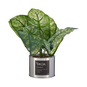 Plante décorative Ibergarden Smile Métal Plastique Cannette 26 x 26 x 26 cm Argenté: Plus de 300.000 produits de grandes marques
