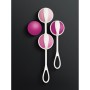 Kit de Poids Vaginaux Kegel Gvibe Geisha Mini Fuchsia: Plus de 300.000 produits de grandes marques en vente directe à prix usine