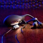 Anneau Pénis Gender X Gender X Noir: Plus de 300.000 produits de grandes marques en vente directe à prix usine sur cadeaufou.com