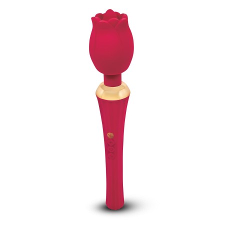 Masseur Secret Kisses Rouge: Plus de 300.000 produits de grandes marques en vente directe à prix usine sur cadeaufou.com. Label 