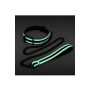 Collier avec Sangles NS Novelties Glo: Plus de 300.000 produits de grandes marques en vente directe à prix usine sur cadeaufou.c