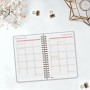 Agenda Finocam ALMA Lila 11,7 x 18,1 cm 2025: Plus de 300.000 produits de grandes marques en vente directe à prix usine sur cade