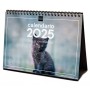 Calendrier de bureau Finocam GATITOS ENTRAÑABLES Multicouleur Papier 21 x 15 cm 2025: Plus de 300.000 produits de grandes marque