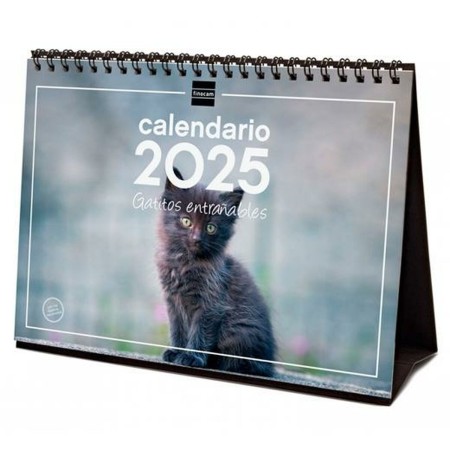 Calendrier de bureau Finocam GATITOS ENTRAÑABLES Multicouleur Papier 21 x 15 cm 2025: Plus de 300.000 produits de grandes marque
