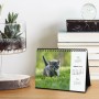 Calendrier de bureau Finocam GATITOS ENTRAÑABLES Multicouleur Papier 21 x 15 cm 2025: Plus de 300.000 produits de grandes marque