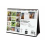 Calendrier de bureau Finocam GATITOS ENTRAÑABLES Multicouleur Papier 21 x 15 cm 2025: Plus de 300.000 produits de grandes marque