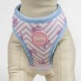 Harnais pour Chien Barbie Rose XS/S: Plus de 300.000 produits de grandes marques en vente directe à prix usine sur cadeaufou.com