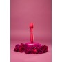 Stimulateur clitoridien Secret Kisses Rouge: Plus de 300.000 produits de grandes marques en vente directe à prix usine sur cadea