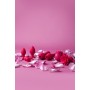 Stimulateur clitoridien Secret Kisses Rouge: Plus de 300.000 produits de grandes marques en vente directe à prix usine sur cadea