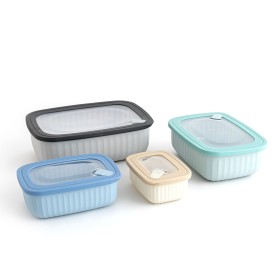 Ensemble de Boîtes à Lunch Bidasoa Mia Multicouleur Plastique Sans BPA 380 ml 850 ml 1,6 L 2,85 L (4 Unités): Plus de 300.000 pr