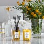 Désodorisant Acqua Di Parma INSIEME 180 ml: Plus de 300.000 produits de grandes marques en vente directe à prix usine sur cadeau
