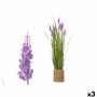 Plante décorative Ibergarden GD013302A Corde Plastique 30 x 69 x 30 cm (3 Unités): Plus de 300.000 produits de grandes marques e