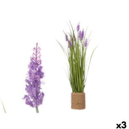 Plante décorative Ibergarden GD013302A Corde Plastique 30 x 69 x 30 cm (3 Unités): Plus de 300.000 produits de grandes marques e