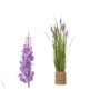 Plante décorative Ibergarden GD013302A Corde Plastique 30 x 69 x 30 cm (3 Unités): Plus de 300.000 produits de grandes marques e