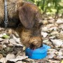 Bouteille avec Distributeur d'Eau et d'Aliments pour Animaux2 en 1 Pettap InnovaGoods: Plus de 300.000 produits de grandes marqu