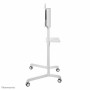 Trolley Neomounts NS-M1250WHITE : Plus de 300.000 produits de grandes marques en vente directe à prix usine sur cadeaufou.
