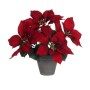Plante décorative Mica Decorations Rouge PVC: Plus de 300.000 produits de grandes marques en vente directe à prix usine sur cade