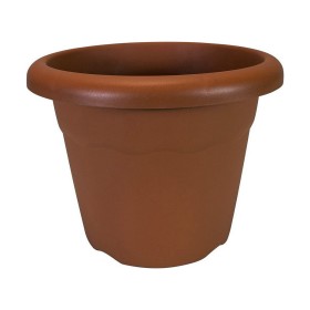 Pot Plastiken Transparent polypropylène (Ø 40 x 30 cm): Plus de 300.000 produits de grandes marques en vente directe à prix usin