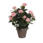 Plante décorative Mica Decorations Rosal Céramique PVC: Plus de 300.000 produits de grandes marques en vente directe à prix usin