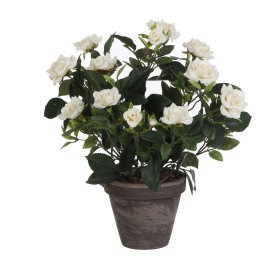 Plante décorative Mica Decorations Rosal Céramique PVC: Plus de 300.000 produits de grandes marques en vente directe à prix usin