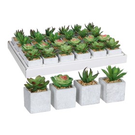 Plante décorative Mica Decorations 8 x 5 cm Vert PVC Succulent: Plus de 300.000 produits de grandes marques en vente directe à p