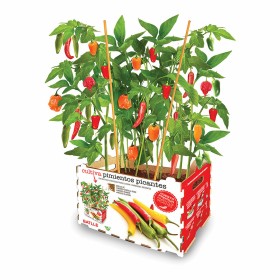 Set de culture Batlle Poivrons Épicé 30 x 19,5 x 16,2 cm: Plus de 300.000 produits de grandes marques en vente directe à prix us