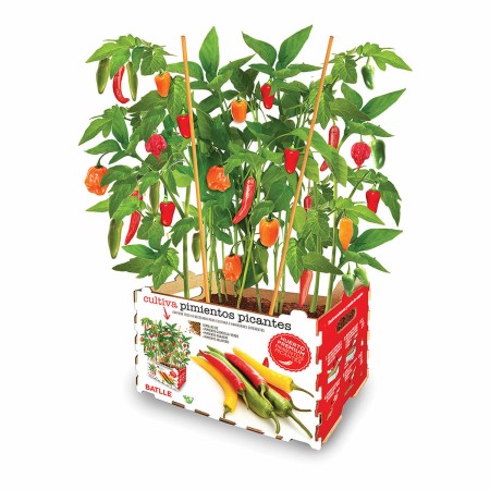 Set de culture Batlle Poivrons Épicé 30 x 19,5 x 16,2 cm: Plus de 300.000 produits de grandes marques en vente directe à prix us