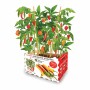 Set de culture Batlle Poivrons Épicé 30 x 19,5 x 16,2 cm: Plus de 300.000 produits de grandes marques en vente directe à prix us
