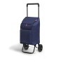 Panier à Courses Gimi Argo 37 x 33 x 95,5 Bleu 45 L: Plus de 300.000 produits de grandes marques en vente directe à prix usine s