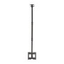 Support de TV Aisens CT43TSE-053 23-42 23 50 kg: Plus de 300.000 produits de grandes marques en vente directe à prix usine sur c