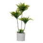 Plante décorative Ibergarden XD22-1826 Plastique Ciment Palmier 20 x 70 x 20 cm (4 Unités): Plus de 300.000 produits de grandes 