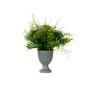 Plante décorative Ibergarden XD19-1369 Plastique Verre 21 x 30 x 21 cm (6 Unités): Plus de 300.000 produits de grandes marques e