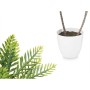 Plante décorative Ibergarden XD19-1327 Plastique Palmier 36 x 55,5 x 24 cm (6 Unités): Plus de 300.000 produits de grandes marqu
