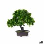 Plante décorative Ibergarden XD19-1395B Plastique Bonsai 27 x 28 x 14 cm (8 Unités): Plus de 300.000 produits de grandes marques