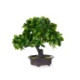 Plante décorative Ibergarden XD19-1395B Plastique Bonsai 27 x 28 x 14 cm (8 Unités): Plus de 300.000 produits de grandes marques