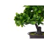 Plante décorative Ibergarden XD19-1395B Plastique Bonsai 27 x 28 x 14 cm (8 Unités): Plus de 300.000 produits de grandes marques